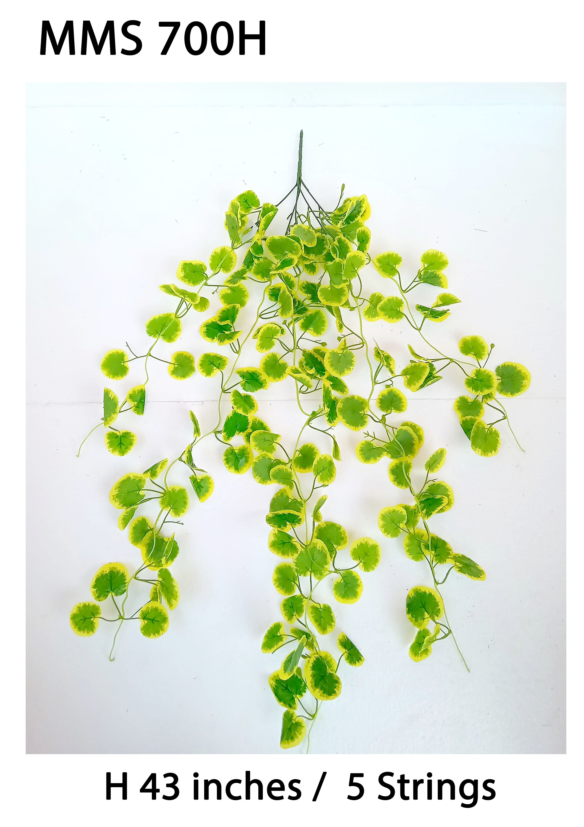 MC047 Leaf Creeper