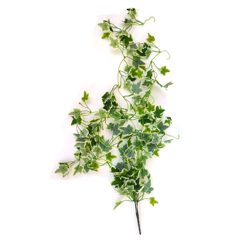 MC028 Leaf Creeper
