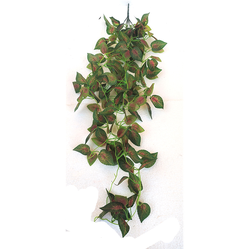 MC006 Leaf Creepers