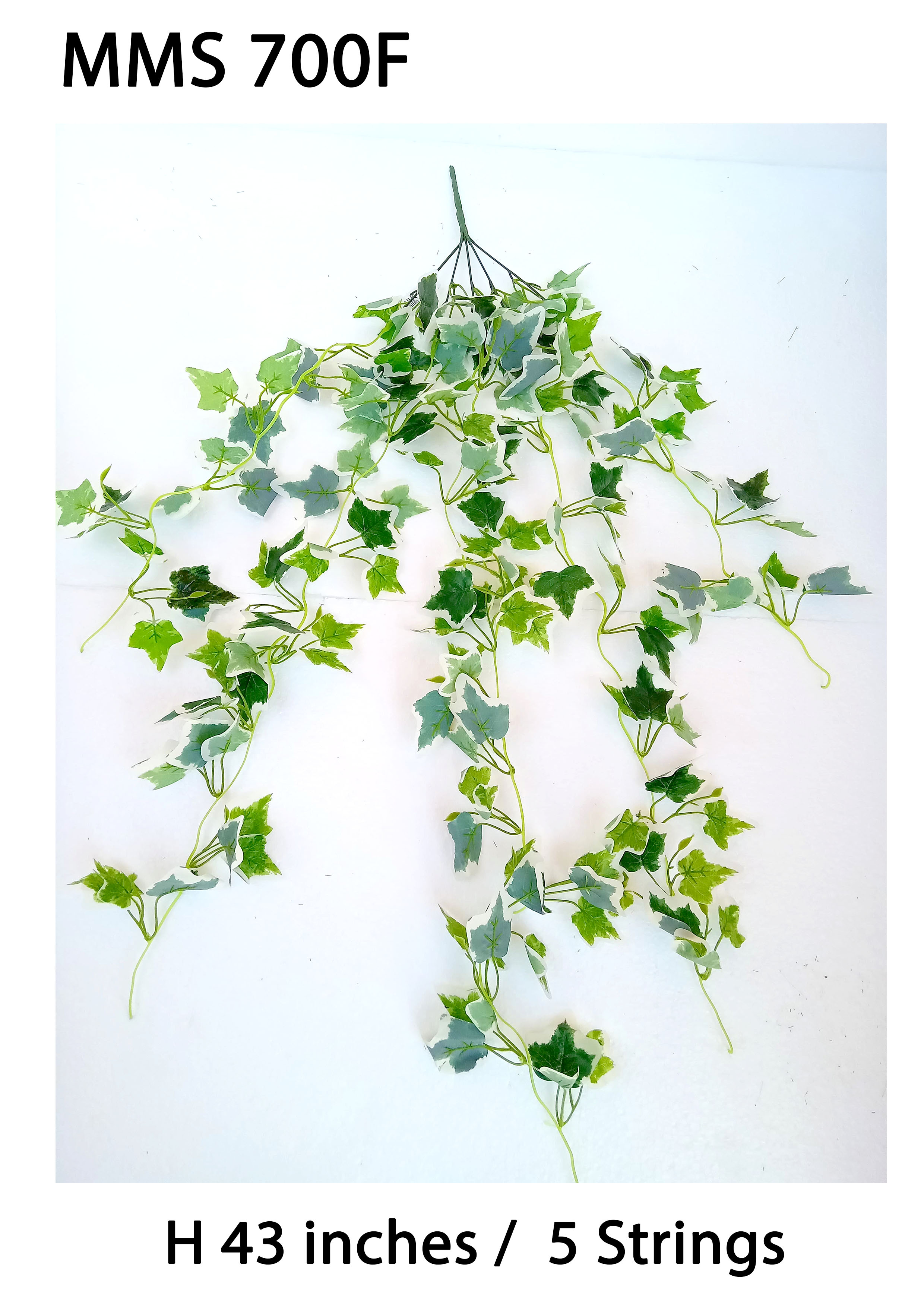 MC045 Leaf Creeper