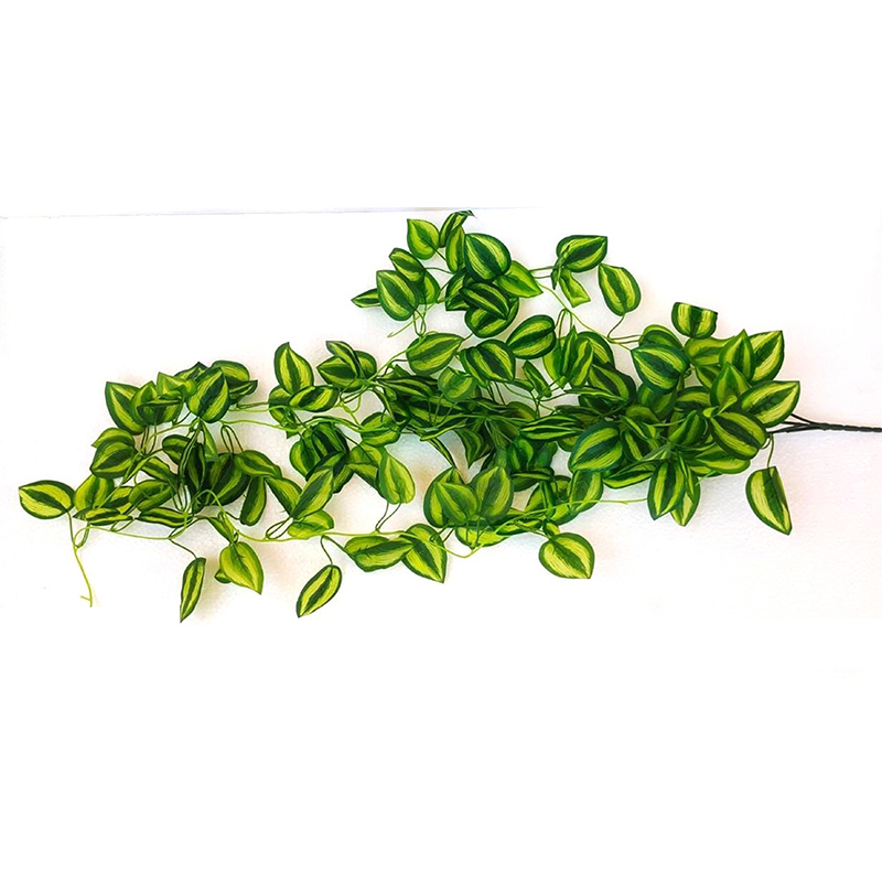 MC008 Leaf Creepers