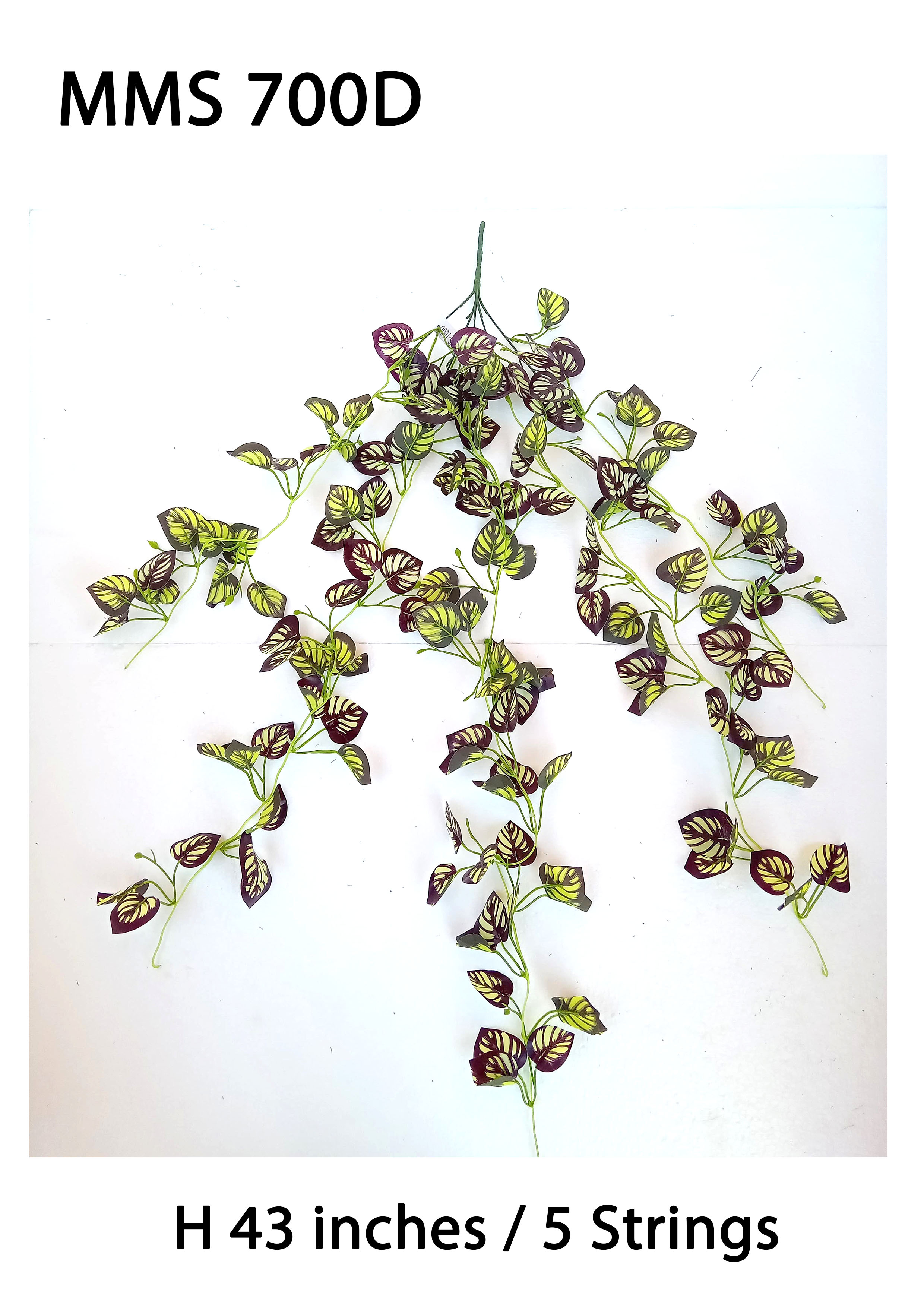 MC043 Leaf Creeper