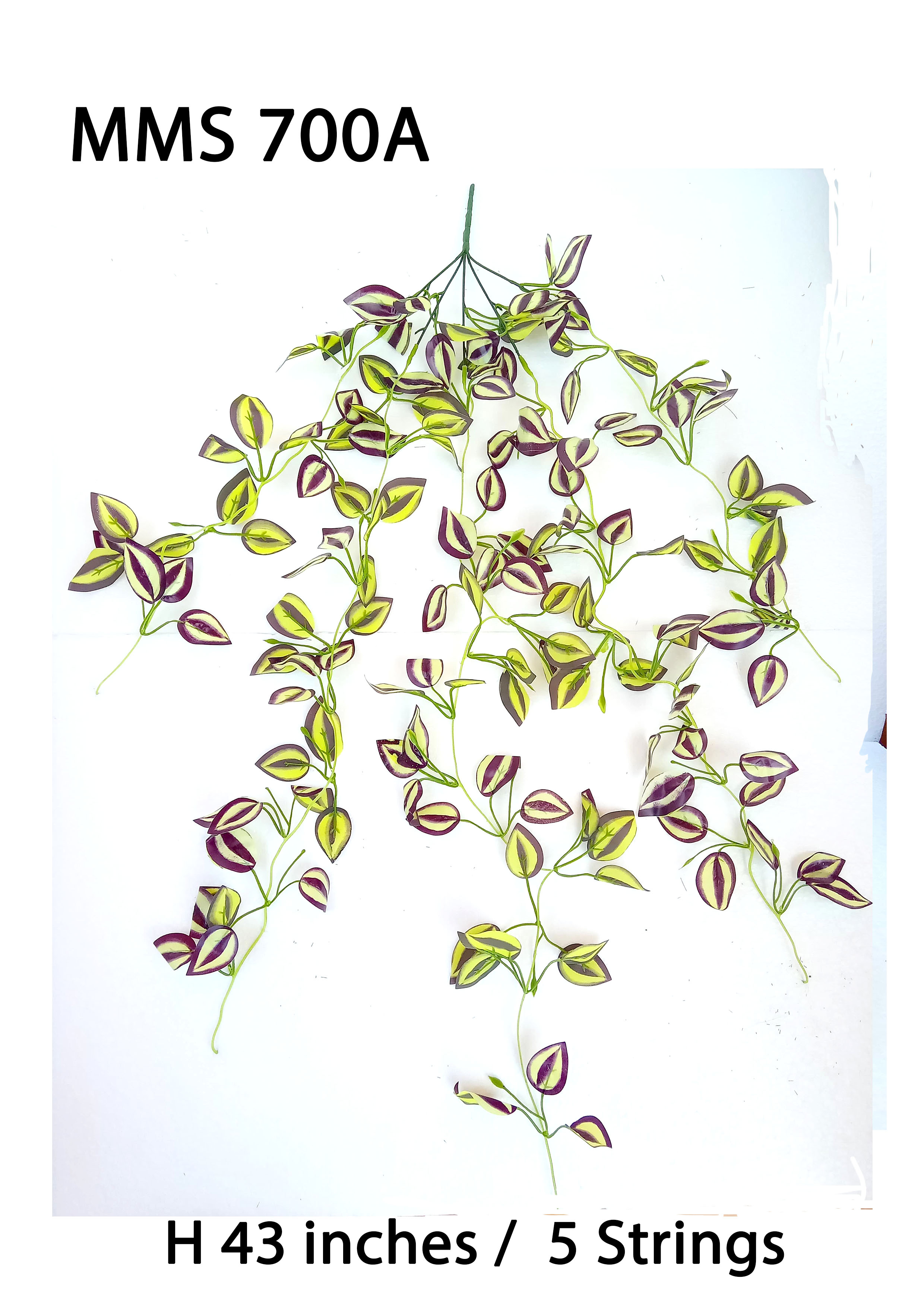 MC040 Leaf Creeper