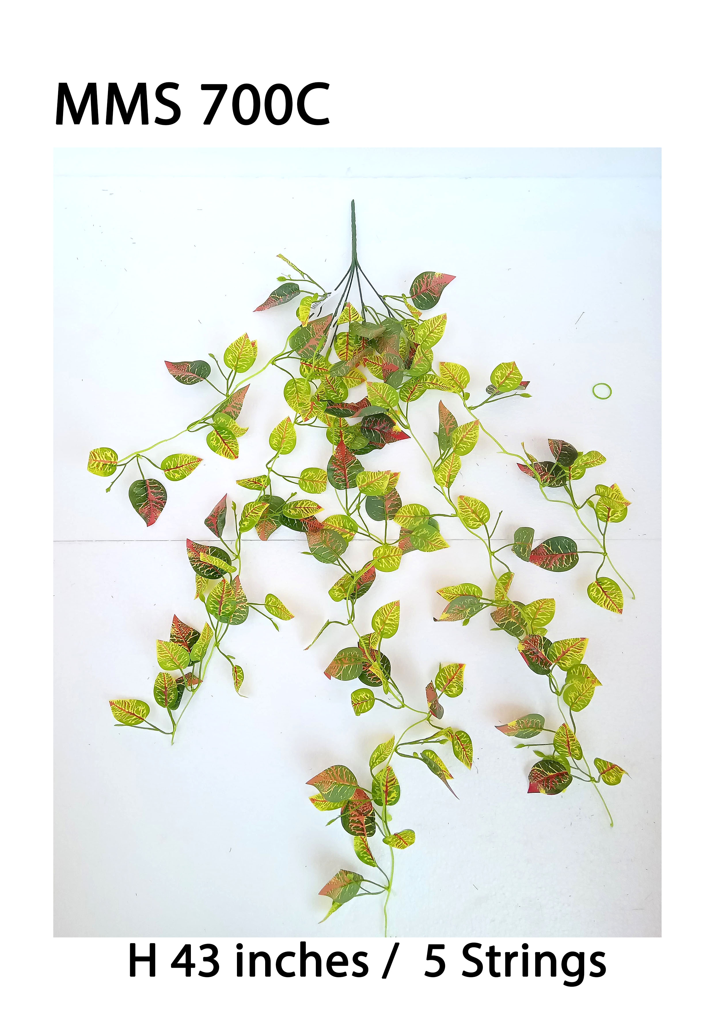 MC042 Leaf Creeper