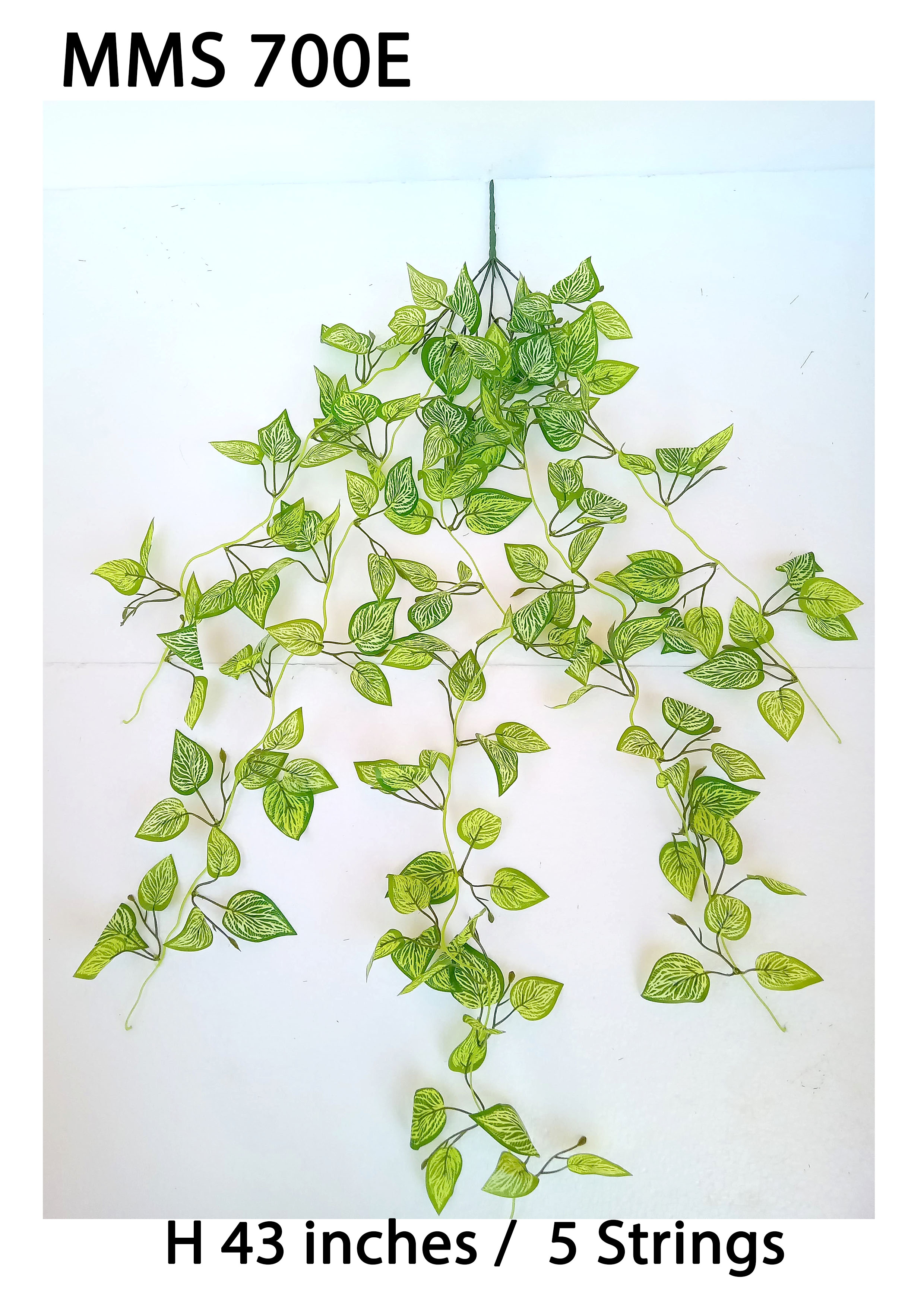 MC044 Leaf Creeper